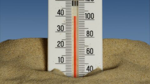 The 4:1:1 Ratio for Compost: Why Your Pile Stays Cold
