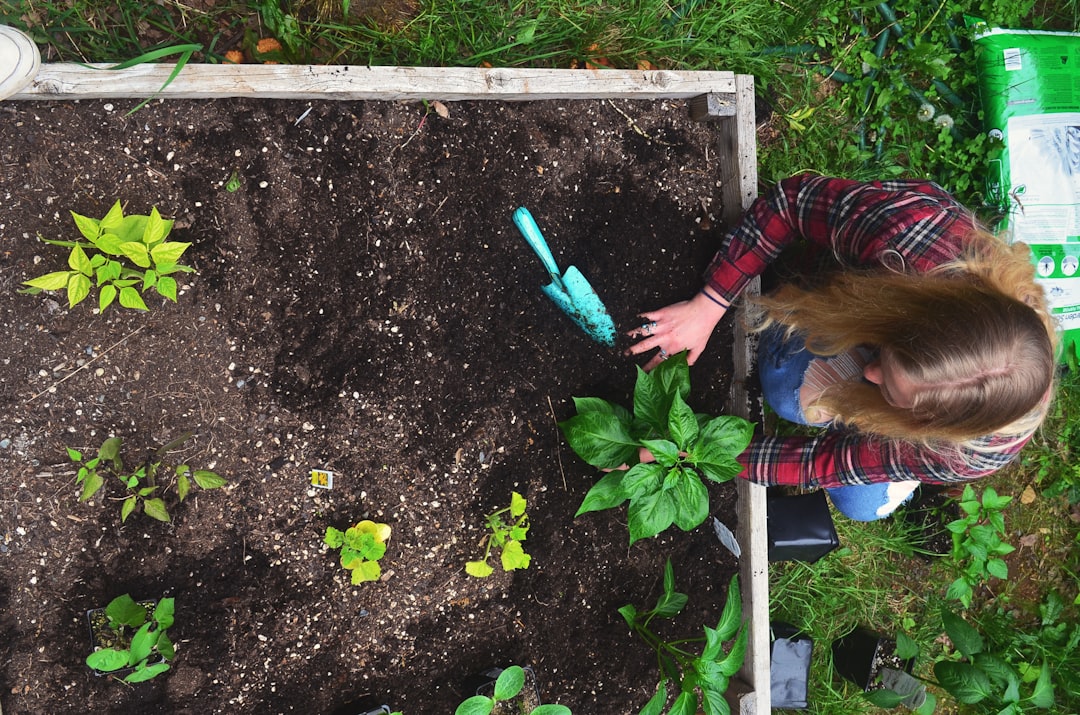 A 4×8 Raised Bed Layout That Actually Produces All Season